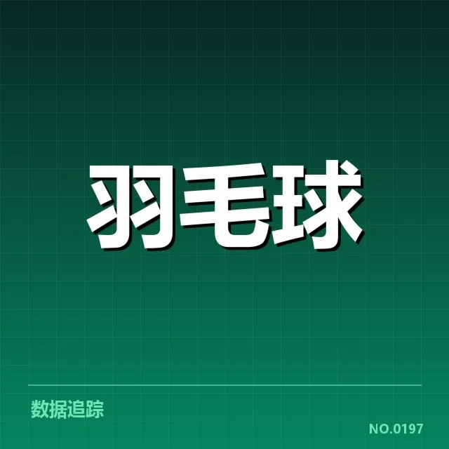 羽毛球国家队新名单：球员遴选标准存疑问与挑战